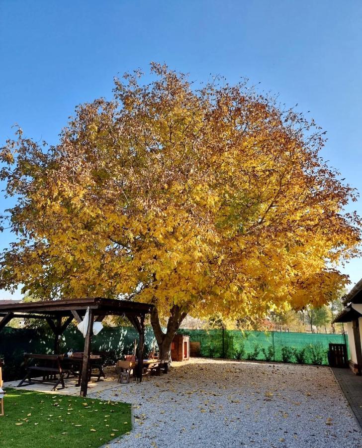 A MI KISHÁZUNK vendégház Szomod Extérieur photo